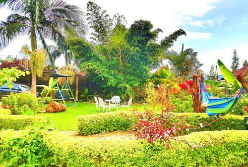 Hostal Yambi Guesthouse