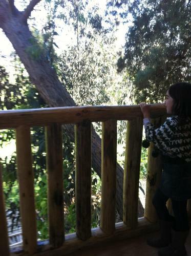 Caba�as Y Rukas Licant�n