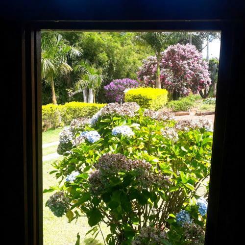 Sitio D. Tereza