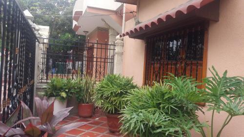 Hostal Terraza's House