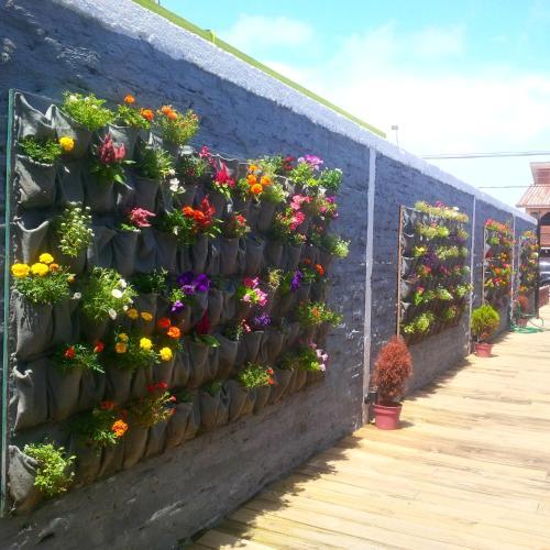 Hostal Del Barcito Hostel And Suites