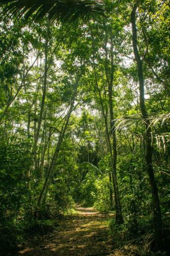 Lodge Corto Maltes Amazonia