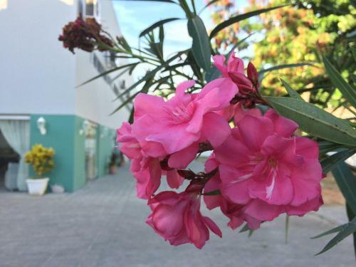 Scenarium Hotel