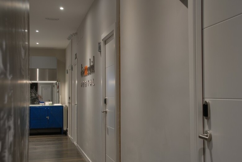 Hostal Diezmadrid