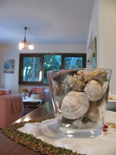 Hotel Aiolos