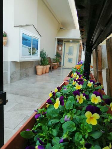 Giorgos Apartments