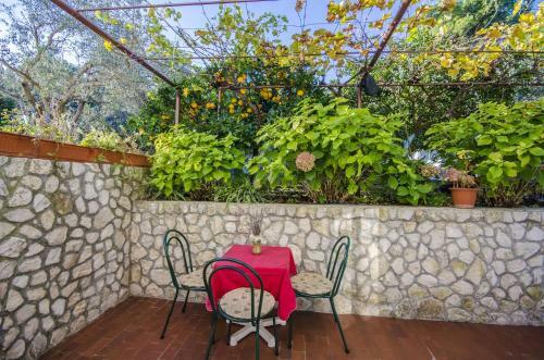 Apartments Dragica