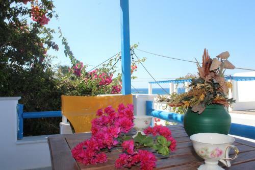 Sea View Studios & Apartments