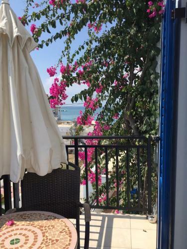 Artemis Hotel