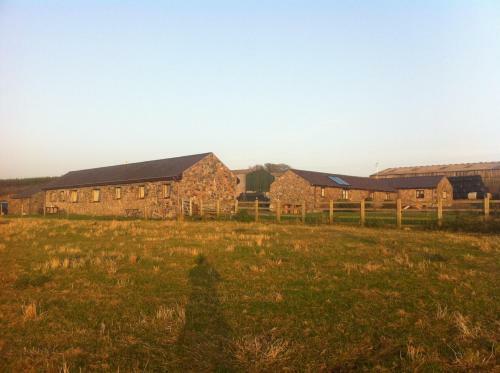 Glan Morfa Lodge & Wildlife Experience