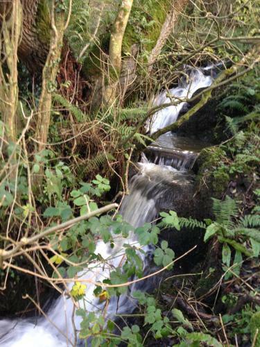 Glan Morfa Lodge & Wildlife Experience