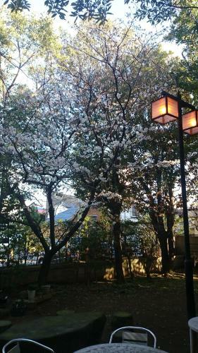 Hotel Honjin