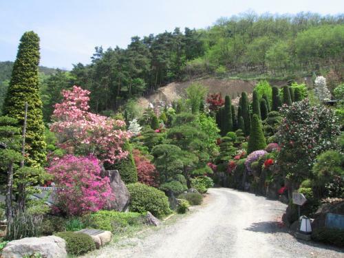 Momoyama