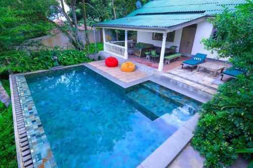 Serendipity House