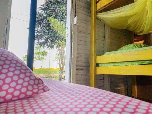 Macao Beach Hostel