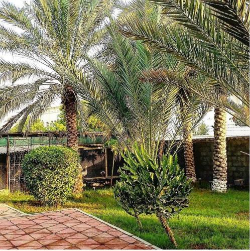 Esterahat Al Faisal ( Farm House)