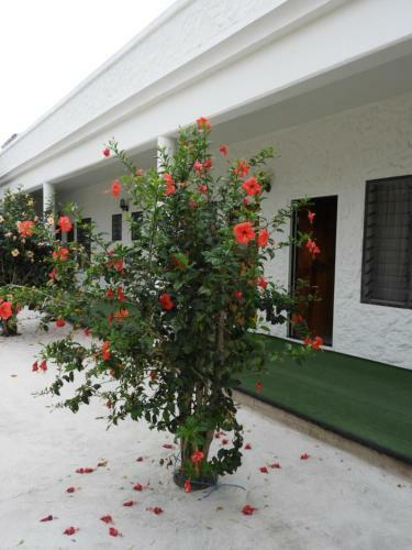 Hotel Simon's Place