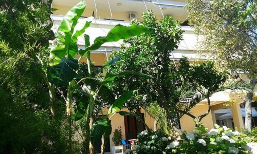 Hostal Vila Nino