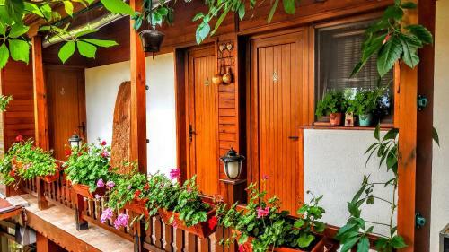 Hostal Complex Myahov House