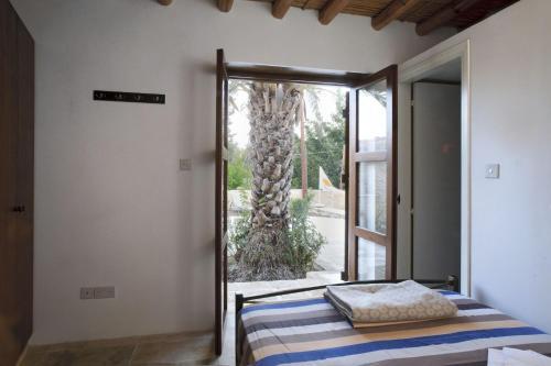 Hostal Palm Tree Oriental House And Homestay