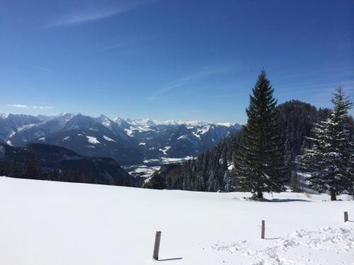 Apartamento Ferienhaus Elisabeth