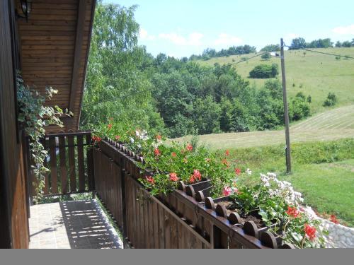 Hostal Pansion Breza