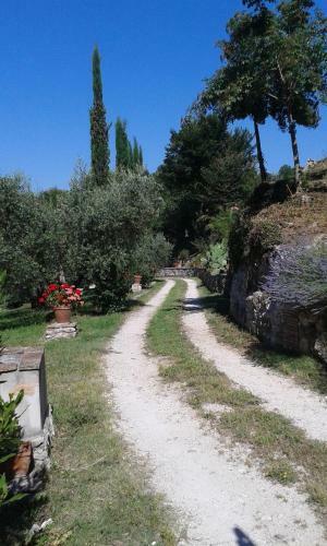 L'antica Mola