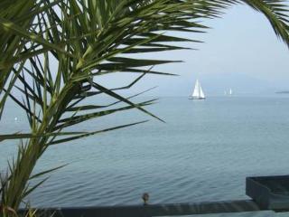 Hotel Est�e