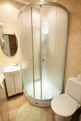 Hotel Aviator Sheremetyevo