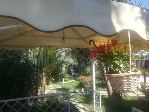 Bed & Breakfast Beatrice Home