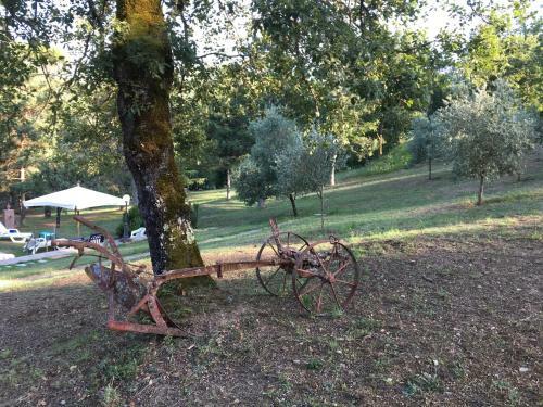 Villa Bacche Rosse