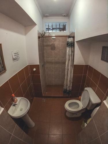 Albergue Colors House