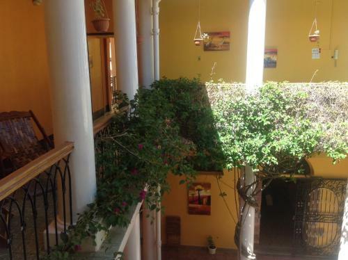 Albergue Colors House