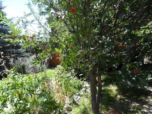 Apartamento San Benito De Palermo