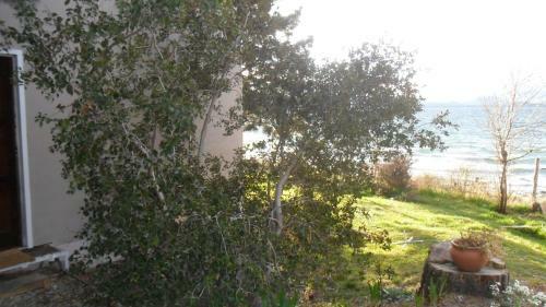 Apartamento San Benito De Palermo