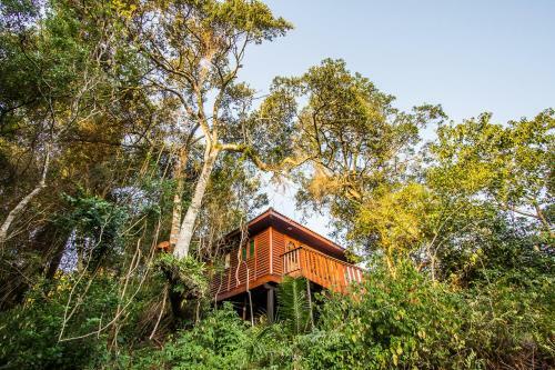 Mtunzini Forest Lodge Self Catering And Timeshare Resort