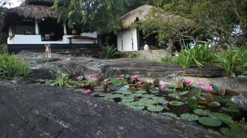Hotel Galapita Eco Lodge