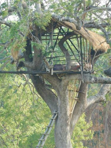 Hotel Galapita Eco Lodge