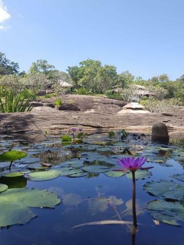 Hotel Galapita Eco Lodge