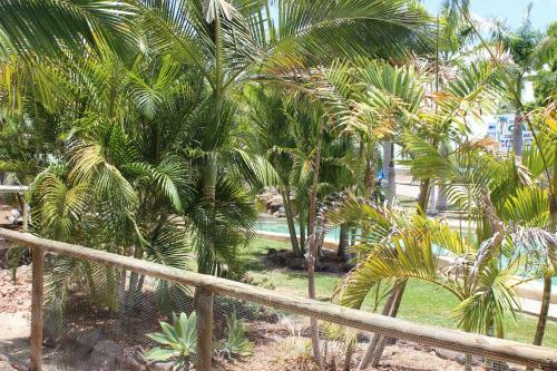 Big4 Aussie Outback Oasis Holiday Park