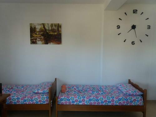 Apartments Vila Ardi