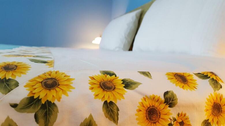 Bed & Breakfast Hotel Vila 15 - Center