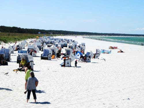 Apartmenth�user Zum Zeesenboot