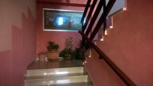 B&B Acquaria