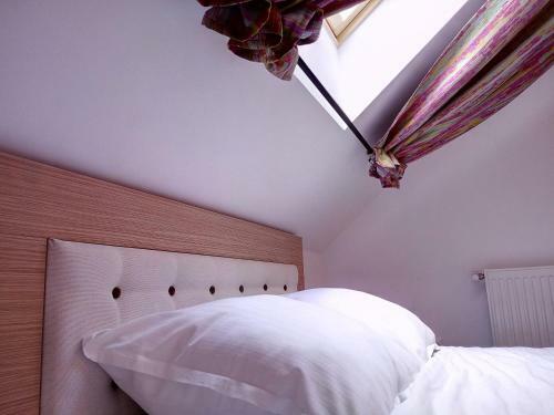 Hostal Vila Slanic