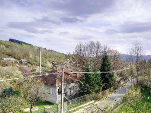 Hostal Vila Slanic