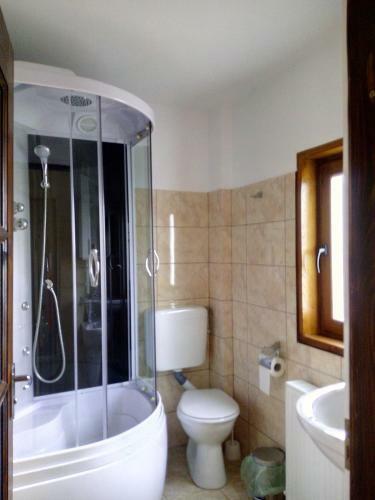 Hostal Vila Slanic