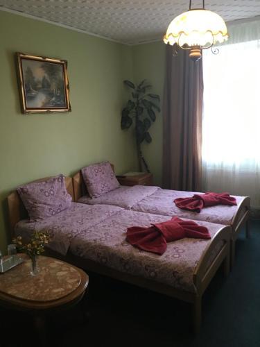 Posada Mini-hotel Oasis
