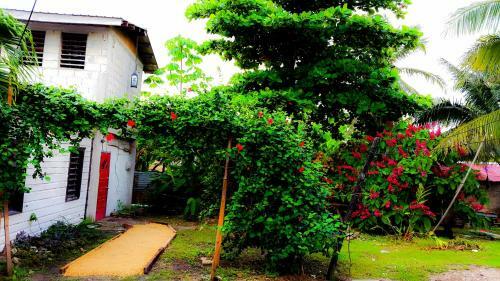 Apartamento Rickys