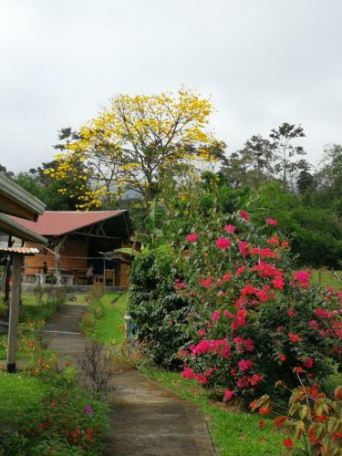 T�o Felix Eco Lodge